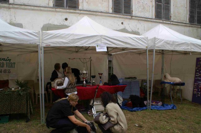 foire-haricots 2011-09-17et18